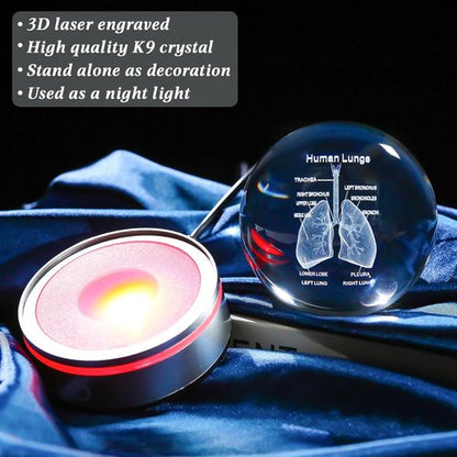 Enjinkail 3D Human Lung Model - Laser Etched Glass Anatomical Figurine | Doctor Gifts with LED Base