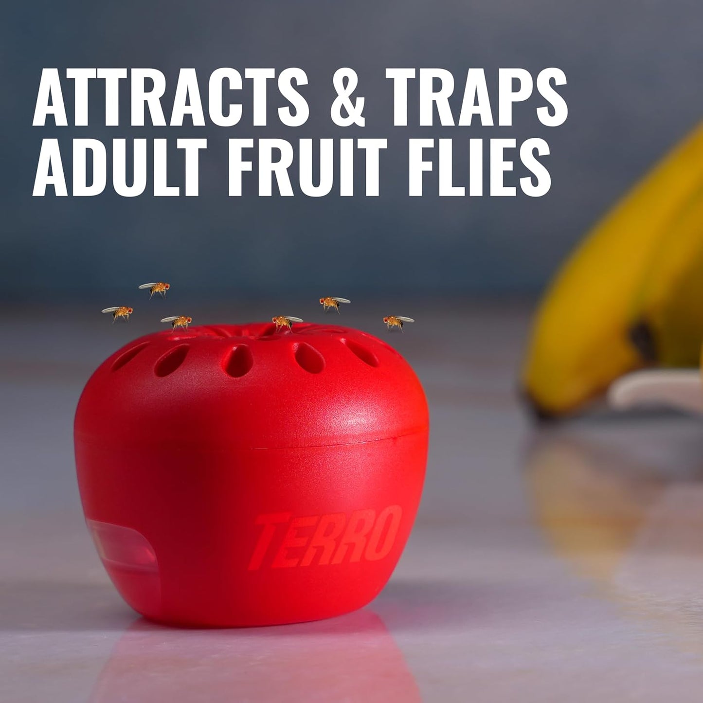 Terro Fruit Fly Traps - Indoor Use | 6 Pack with 270 Days of Lure Supply for Effective Pest Control