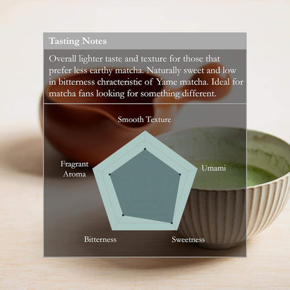 Naoki Matcha Green Tea Powder - Authentic Yame Blend Ceremonial Grade First Harvest (100g / 3.5oz)