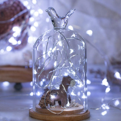 Skiennix 20 LED Fairy Lights - 7 Feet Battery Operated String Lights with Timer | Waterproof Silver Wire for Home, Party & Wedding Decor