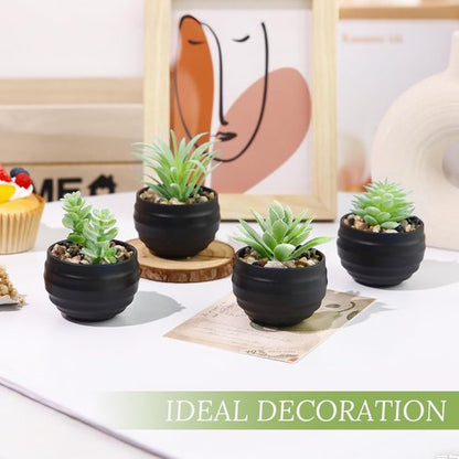 Der Rose Set of 6 Artificial Succulent Plants in Pots | Perfect for Halloween & Home Decor
