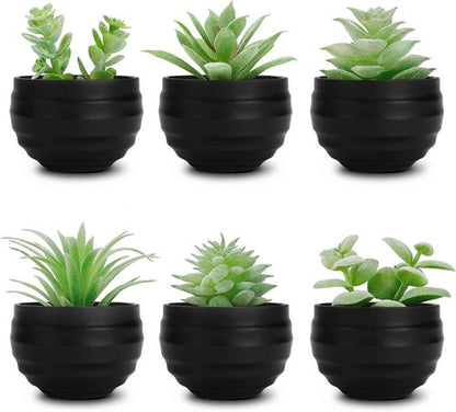Der Rose Set of 6 Artificial Succulent Plants in Pots | Perfect for Halloween & Home Decor