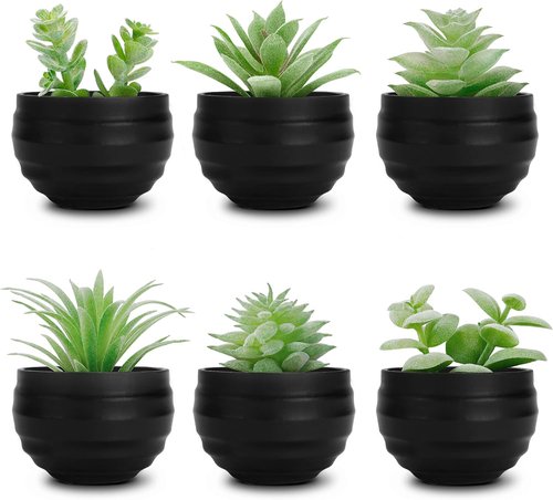 Der Rose Set of 6 Artificial Succulent Plants in Pots | Perfect for Halloween & Home Decor