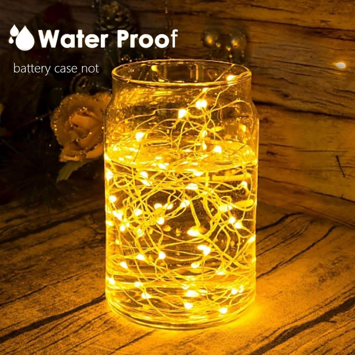 Skiennix 24-Pack Fairy Lights - Battery Operated 7 Feet Twinkle String Lights | Waterproof Warm White for Decorations