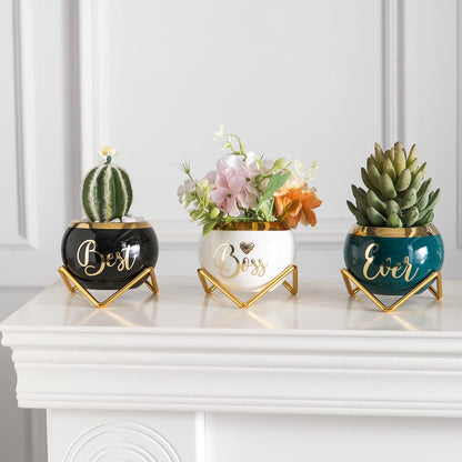PeraBella Boss Gifts for Women | Succulent Pots - Perfect Birthday & Boss's Day Gifts - 3 Pcs