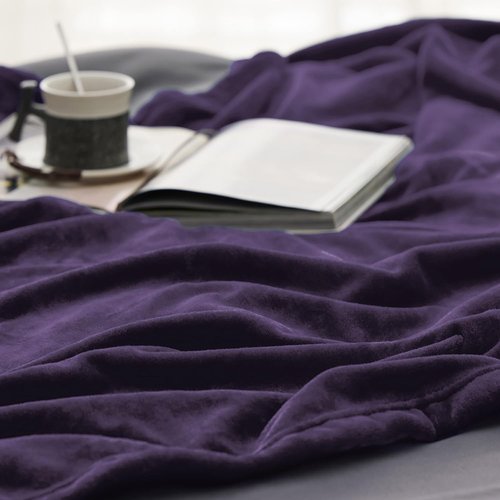Bedsure GentleSoft Fleece Blanket - Lightweight Plush Cozy Twin Size Purple 60x80 Inches for Home & Travel