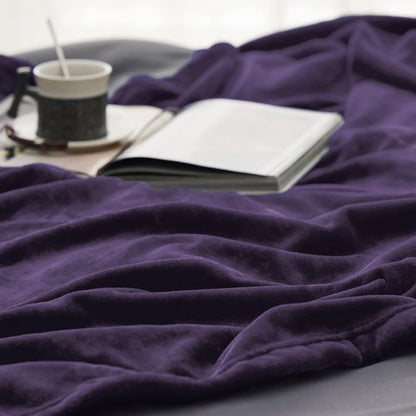 Bedsure GentleSoft Fleece Blanket - Lightweight Plush Cozy Twin Size Purple 60x80 Inches for Home & Travel