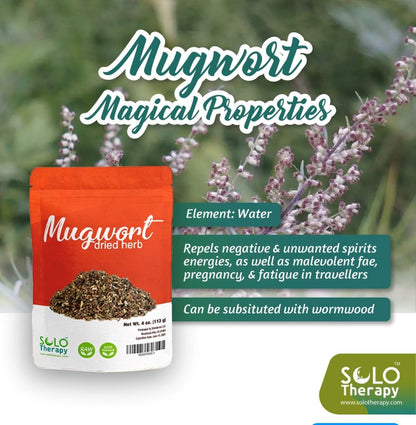 Mugwort Dried Herb | Artemisia Vulgaris c/s | Herbal Tea in Resealable Bag | 4 oz | Product From Croatia | Packaged In The USA (4 oz)