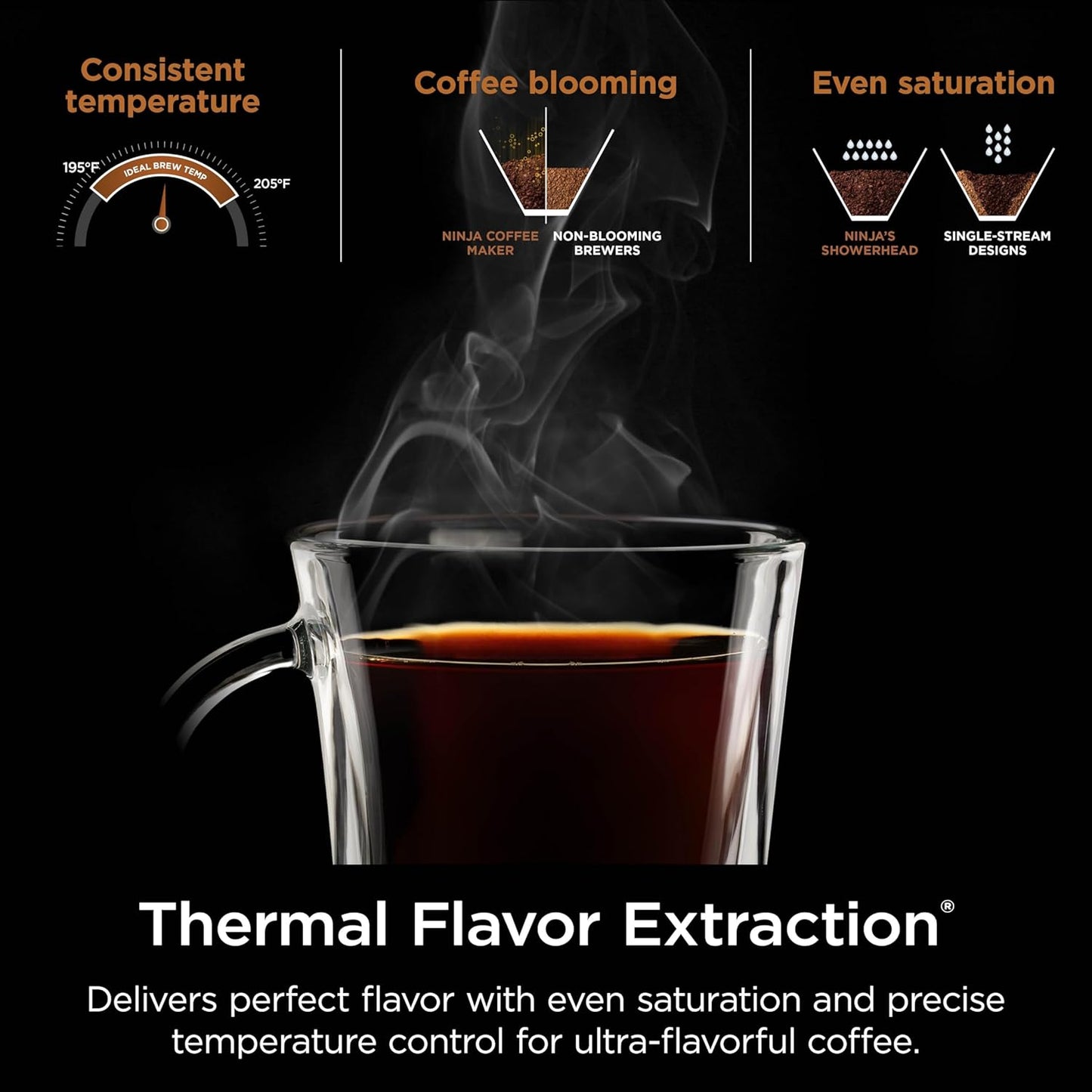 Ninja Specialty Coffee Maker - Brew Hot & Iced Coffee | 6 Styles, 10-Cup Carafe, Black