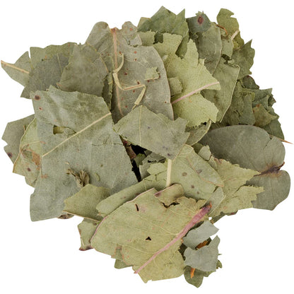 Hanan Eucalyptus 25 Tea Bags - Eucalipto Herbal Tea - Dried Eucalyptus Leaves from Peru - Fresh Floral Taste No Seeds Stems or Branches