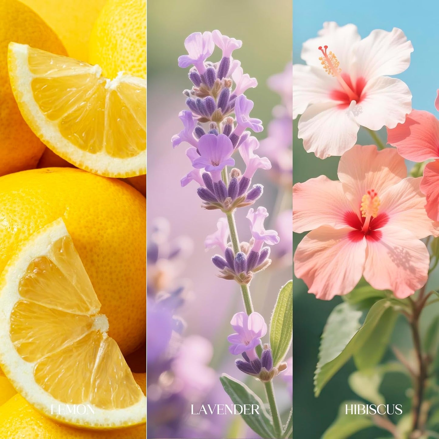 Skiennix Travel Size Toilet Spray - Bathroom Odor Eliminator | 3 Pack, 1 Fl Oz Each, Essential Oils Freshener (Lemon, Hibiscus, Lavender)