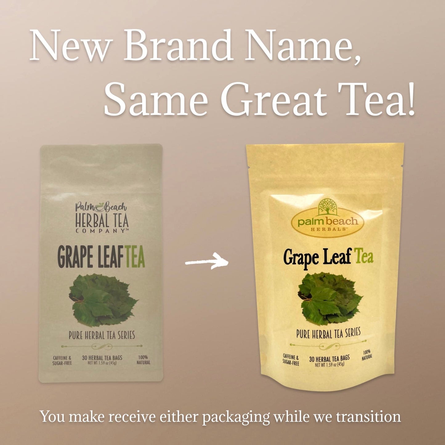 Grape Leaf Tea - Pure Herbal Tea Series by Palm Beach Herbals (30 Tea Bags) 100% Natural