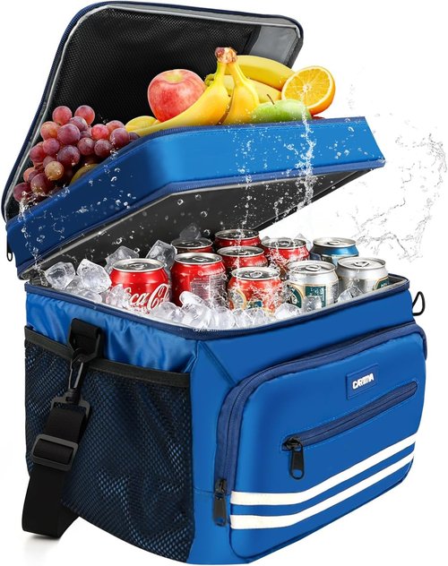 Insulated Lunch Box - 26L X-Large Leak-Proof Cooler Bag with Adjustable Strap | Ideal for Work, Picnic, Travel - Blue