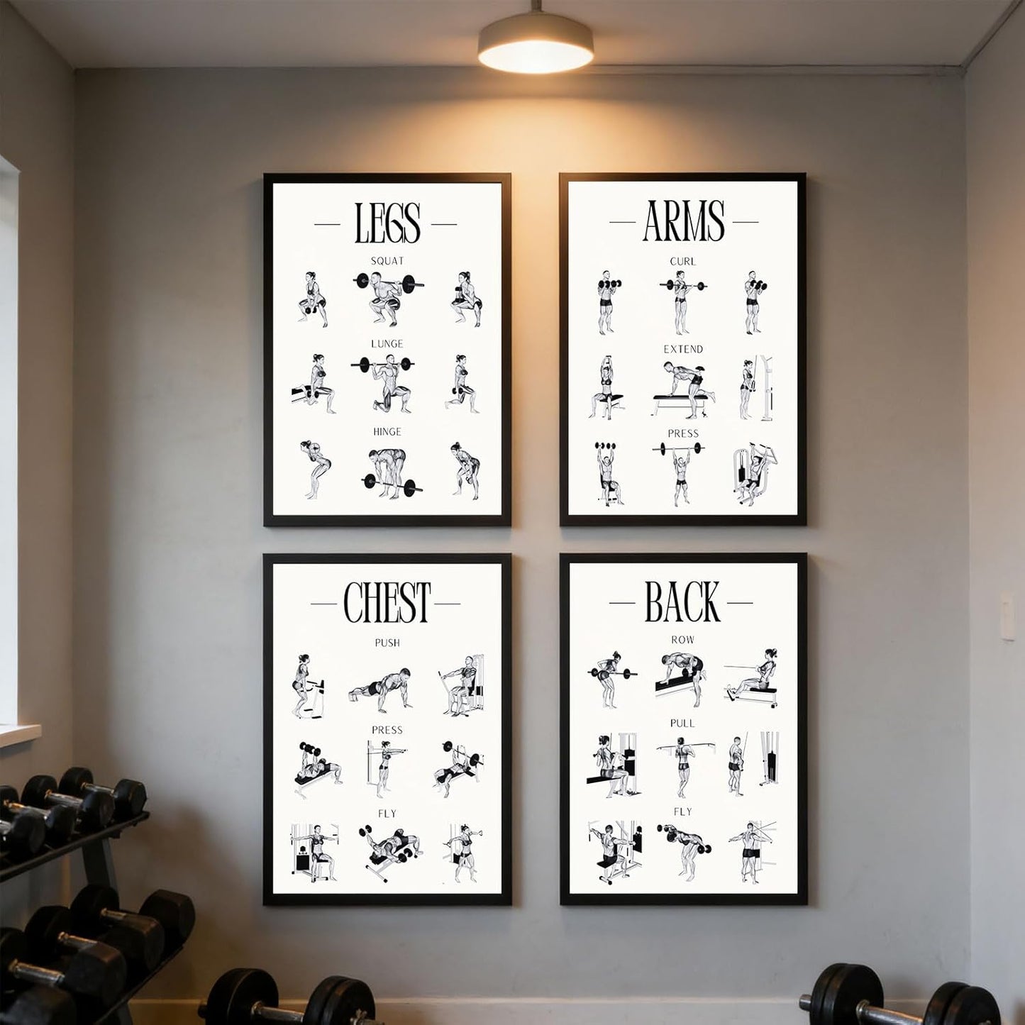 Skiennix Fitness Exercises Wall Art - Dumbbell Workout Poster for Gym & Home Decor | Strength Training Design