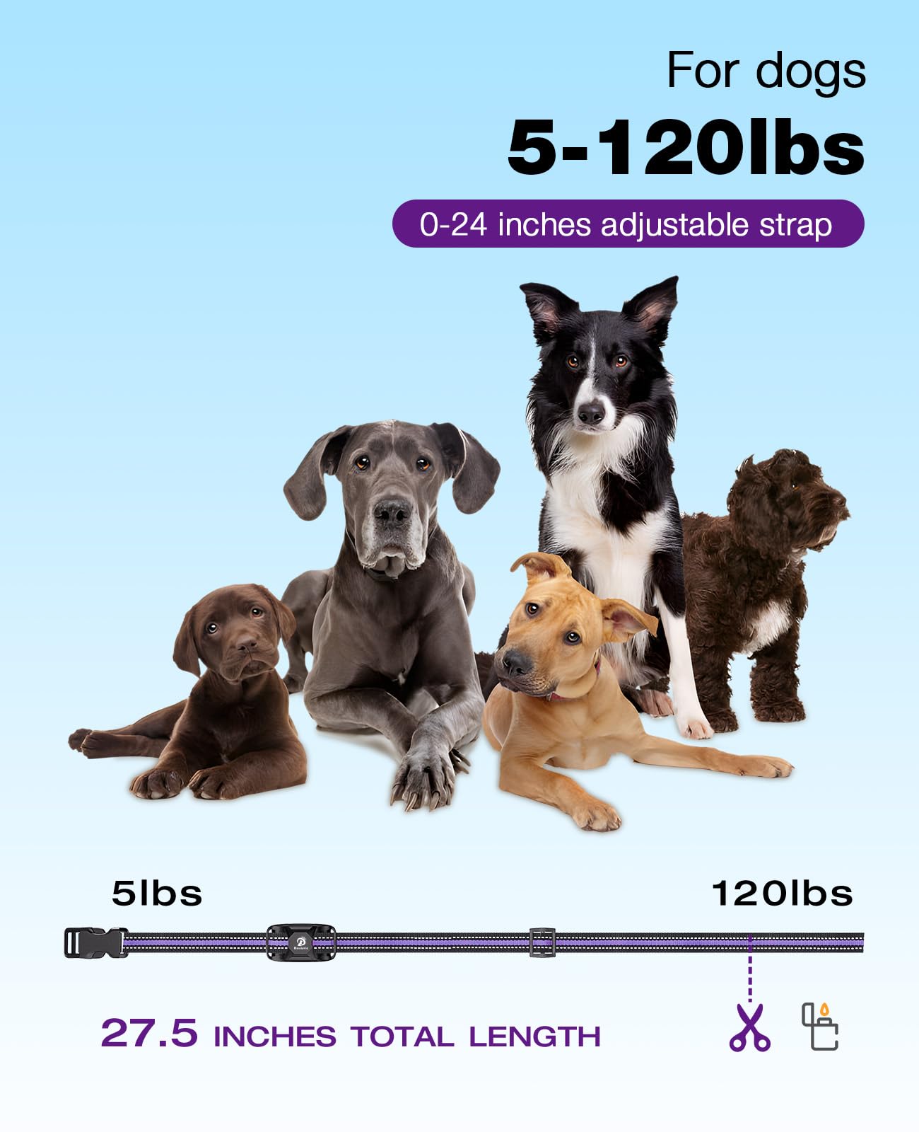 Bousnic Dog Shock Collar - 3300Ft Training Collar with Remote for 5-120lbs Small Medium Large Dogs Rechargeable Waterproof e Collar with Beep (1-8), Shake(1-16), Safe Shock(1-99) Modes (LightPurple)