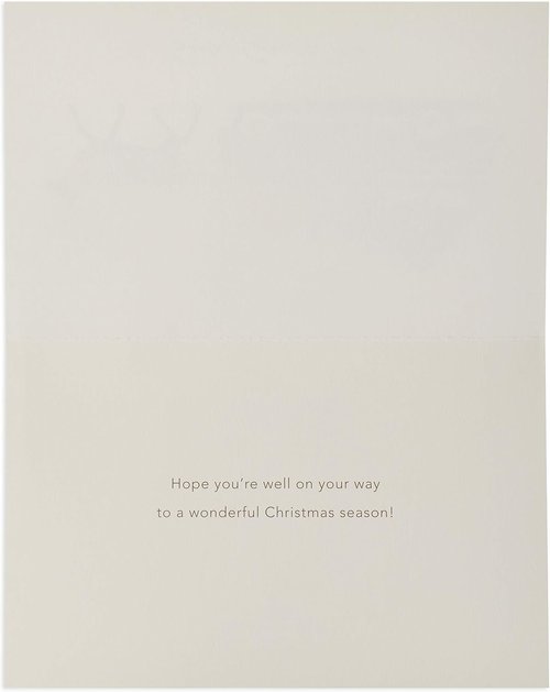 American Greetings Deluxe Christmas Cards - 14-Count Boxed Set with Envelopes | Festive Deer Design