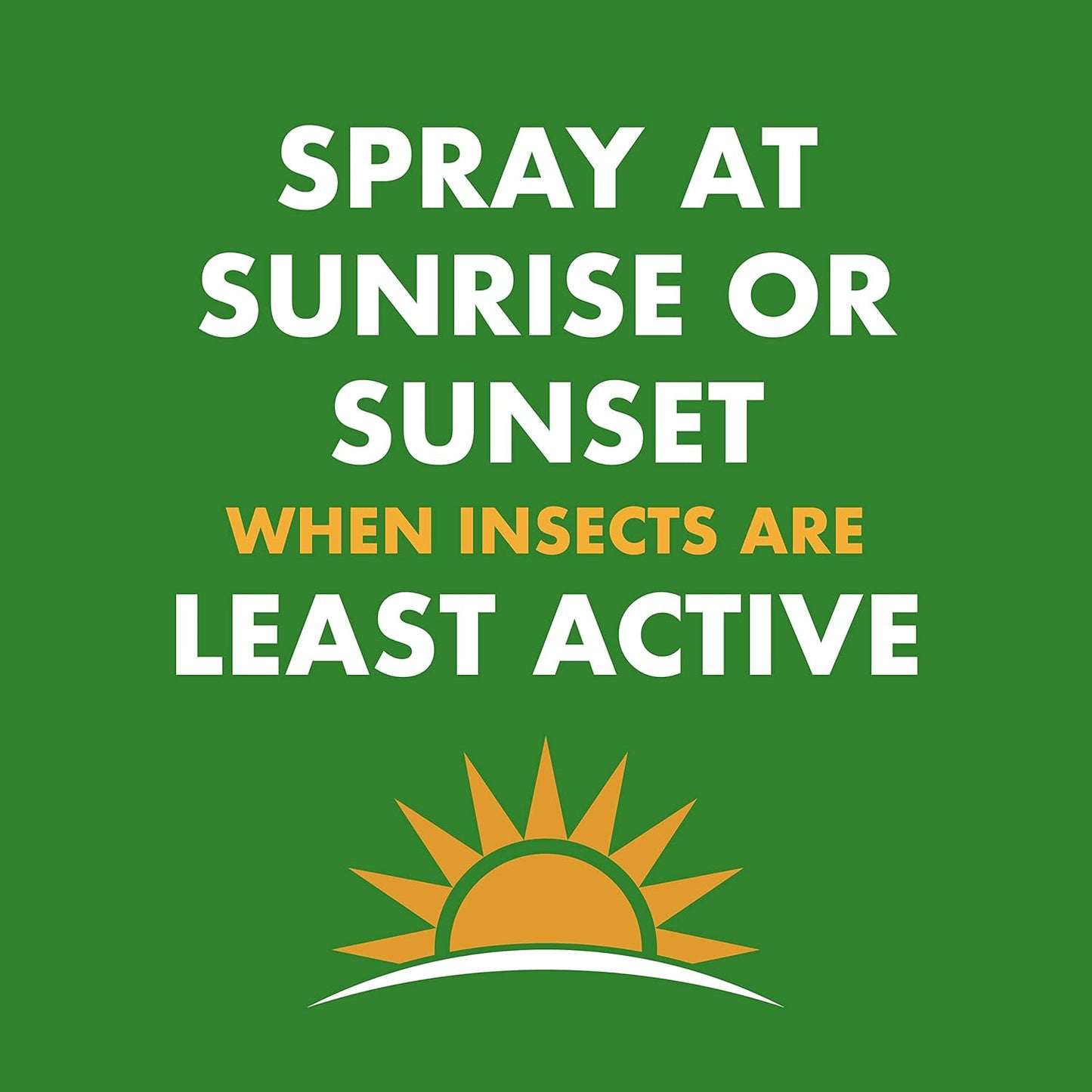 Spectracide Wasp & Hornet Killer - Instant Contact Kill & Nest Elimination - 12 Pack