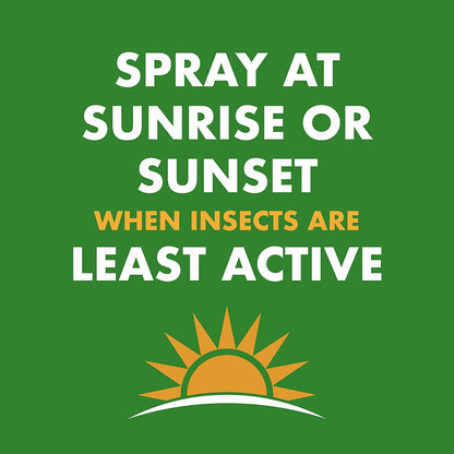 Spectracide Wasp & Hornet Killer - Instant Contact Kill & Nest Elimination - 12 Pack