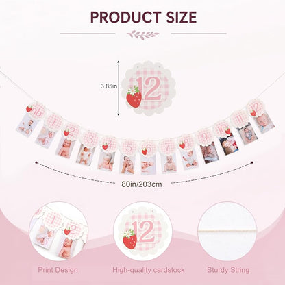 Strawberry Gingham 13-Card Milestone Photo Banner - 0-12 Months, Strawberry-3