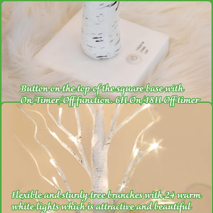 PEIDUO 2FT Birch Tree LED Light Decoration - Warm White Easter Table Lamp | Battery Powered, Timer (2PK)