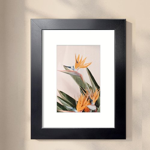 LaVie Home 8.5x11 Picture Frame, 11L x 8.5W Frame Display Pictures 6x8 with Mat or 8.5x11 Without Mat, Stable and Sturdy Black Frame and Polished Plexiglass, Horizontal and Vertical Format of The Walls