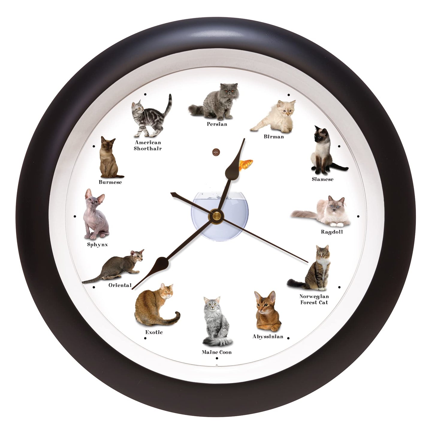 Mark Feldstein & Associates Meowing Cat Sounds Wall Clock, 13", Black, 12 Popular Breeds