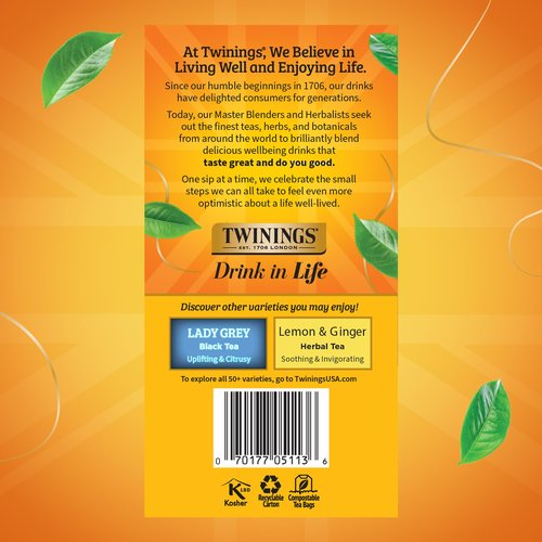 Twinings Earl Grey Black Tea Individually Wrapped Bags, 50 Count (Pack of 6), Flavoured with Citrus and Bergamot, Caffeinated, Enjoy Hot or Iced, 300 Teabags