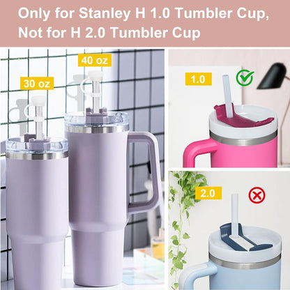Stanley Cup Straw Cover Spill Stopper Set - 2 Silicone Caps & 4 Leak-Proof Stoppers | Fits 30 oz & 40 oz Tumblers