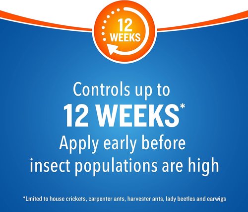 Cutter Backyard Bug Control Spray Concentrate - Kills Mosquitoes, Fleas & Ants | 32 fl Ounce (2 Pack)