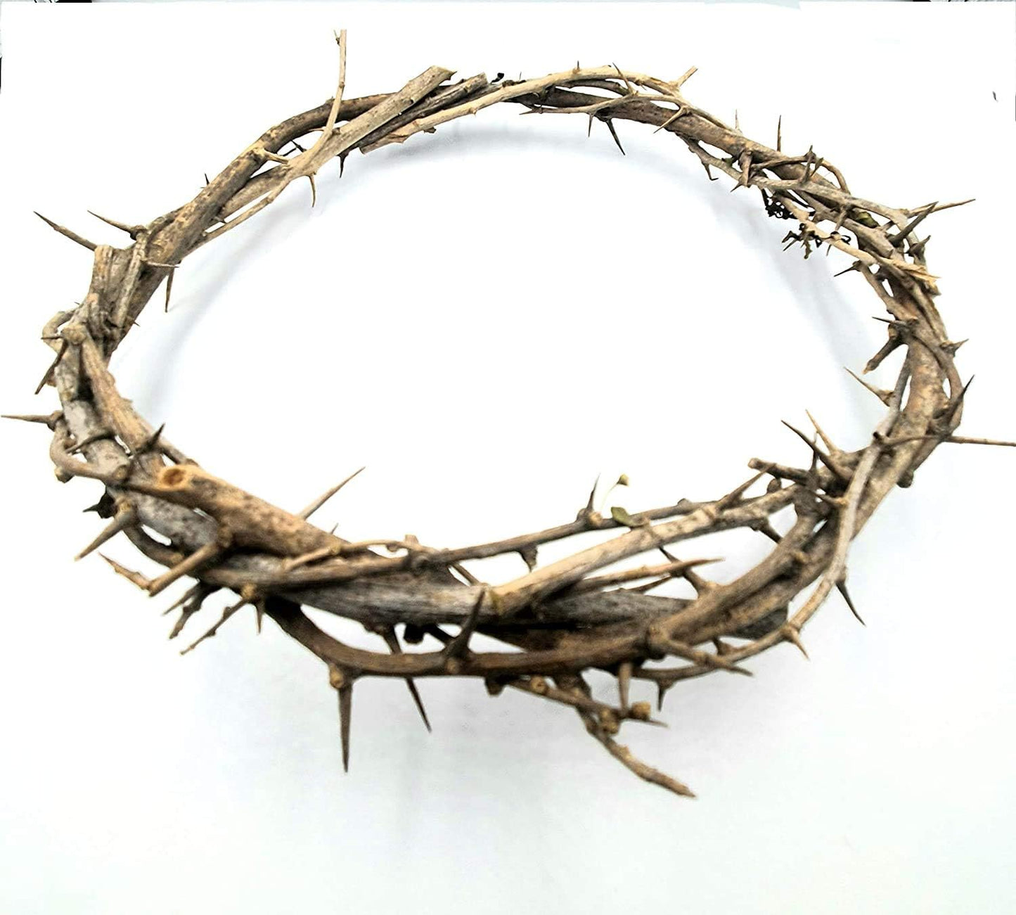 Passion of Christ Crown of Thorns - Authentic Religious Symbol | Perfect for Home Decor