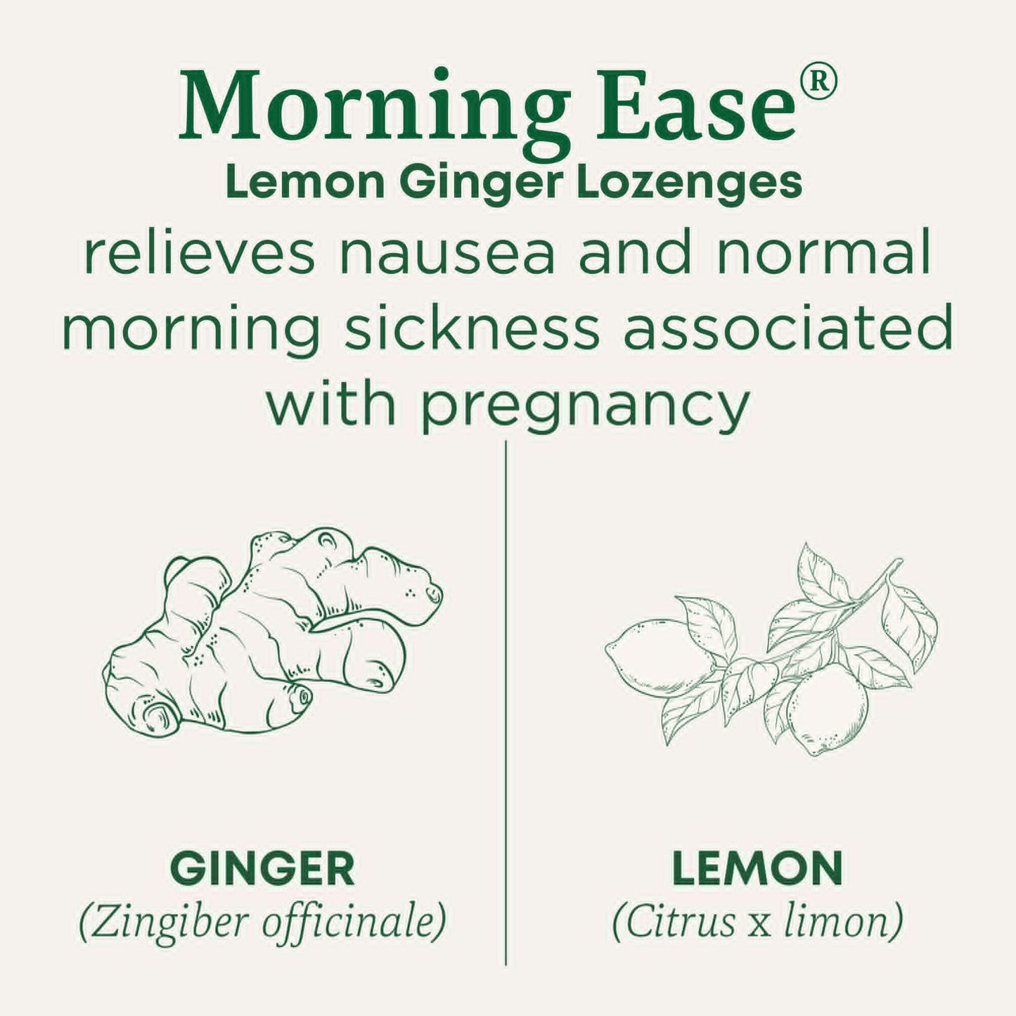 Traditional Medicinals Organic, Morning Ease Lozenges, Lemon Ginger - Supports Pregnancy Nausea Relief & Morning Sickness Associated with Normal Pregnancy - 30 Individually Wrapped Lozenges