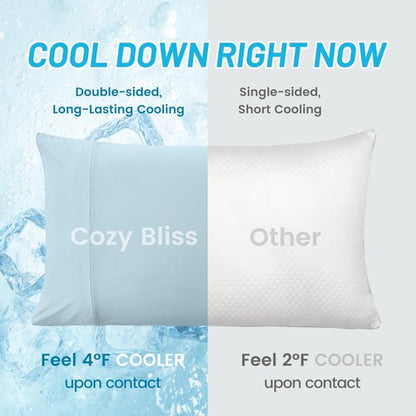 Cozy Bliss Cooling Pillow Cases for Hot Sleepers, Q-Max>0.45, Queen Size Set of 2, Soft & Silky Pillow Covers with Envelope Closure,Gift, Blue, 20x30 Inches