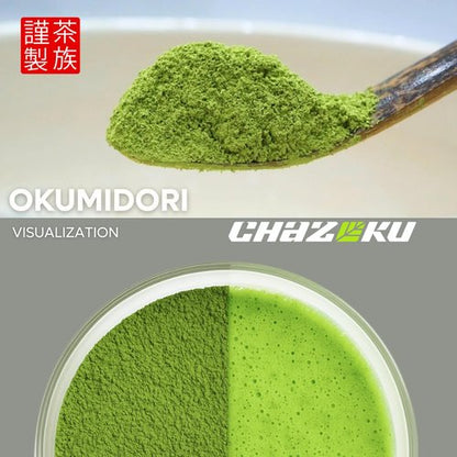 Chazoku Okumidori Matcha Green Tea Powder - Ceremonial Grade, First Harvest - 35g Tin from Yame, Japan