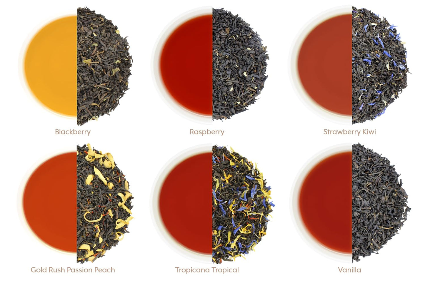 Solstice Fruit-Tea Summer Tea Sampler Featuring Blackberry, Vanilla, Tropicana, Gold Rush, Raspberry, & Strawberry Kiwi Black Teas - Approx 90+ Cups