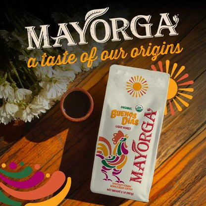Mayorga Organic Coffee - 2lb Buenos Dias Light Roast Whole Bean | Specialty Grade 100% Arabica, Citrusy Flavor