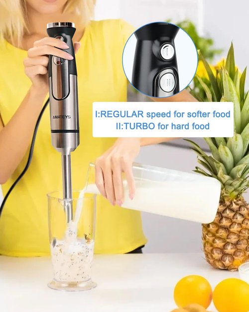 Handblender - Heavy-Duty Immersion Blender with Detachable Stainless Blade | 2-Speed Modes & Space-Saving Design
