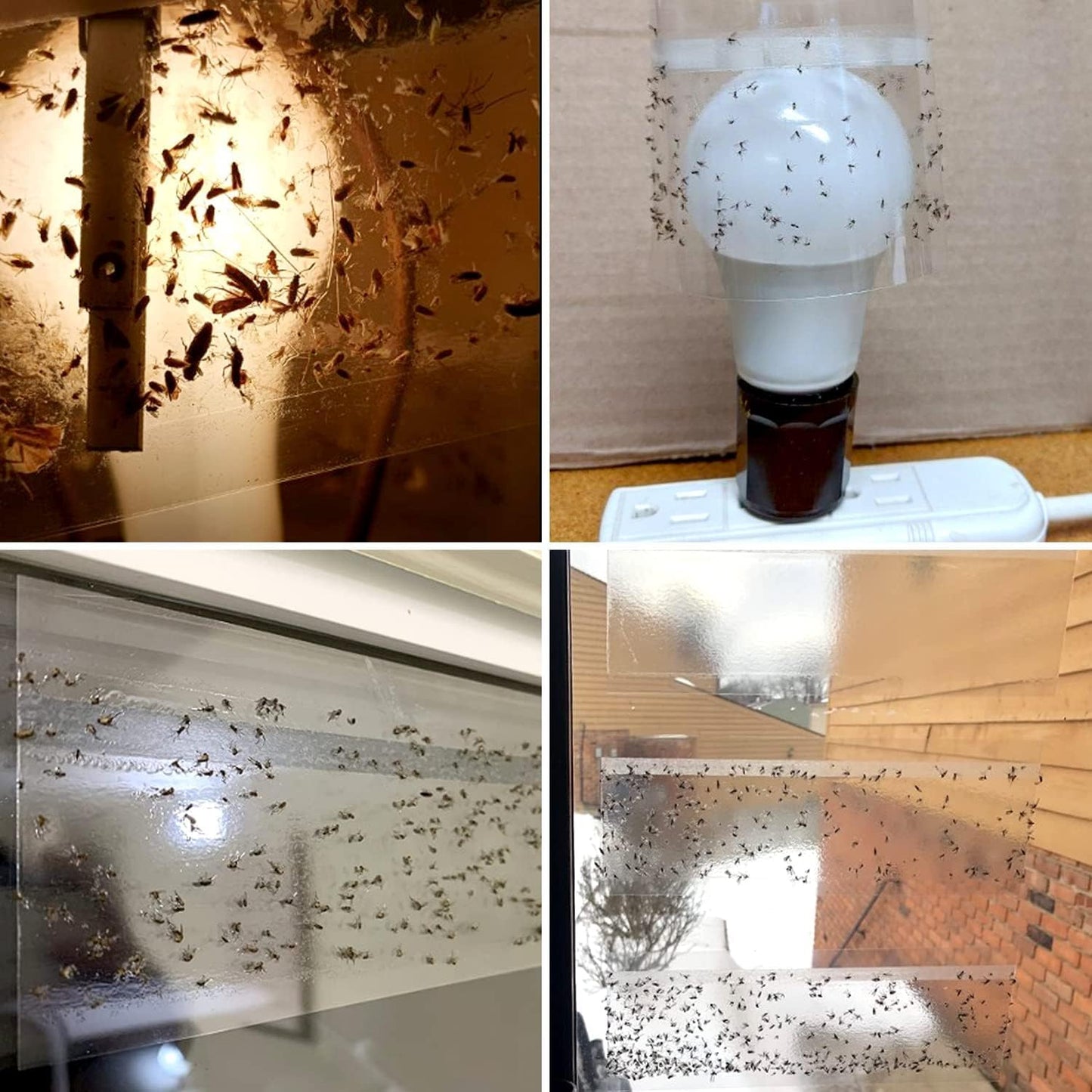 Skiennix 35XL Pack Window Fly Trap - Effective Indoor Fruit Fly Traps with Clear Sticky Strips