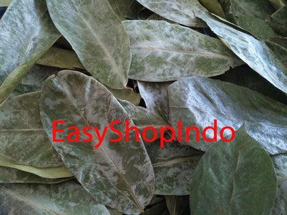 Lakpura Dehydrated Soursop (Guanabana, Graviola, Guyabano) 900 Leaves (± 225g, ± 8oz)