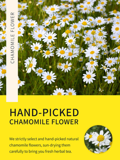 TeeLux Chamomile Tea Bags, 1.5g/bag, Pure Natural Chamomile Flowers Herbal Tea, Caffeine Free, 100 Count