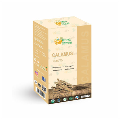 Herbs Botanica Calamus Root Loose Dried Herb for Skin, Stomach Health Benefits Herbal Tea Sweet flag/Sway/Vacha/Muskrat root/Vasambu 1 lb Bulk Bag