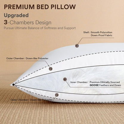 ABOUTABED Goose Feather Down Pillows Queen Size Set of 2, Luxury Soft Feather Pillows for Sleeping, Smooth Down-Proof Fabric, Hotel Collection Bed Pillows Surround Fill Polyester (White, 20"x30")