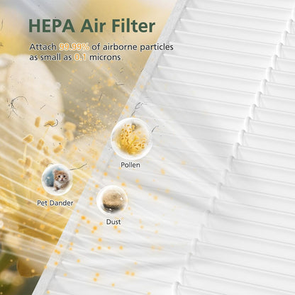 Winix 5510 5520 Replacement Filter | HEPA & Activated Carbon Combo for Dust, Pollen & Smoke - 2+2 Pack