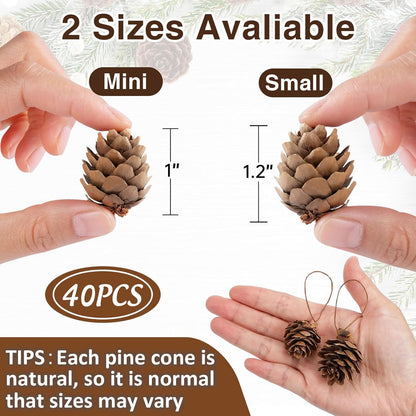 Natural Mini Pine Cones Christmas Ornaments - 40 Pcs Rustic Hanging Decorations for Tree, Table, and Wreath