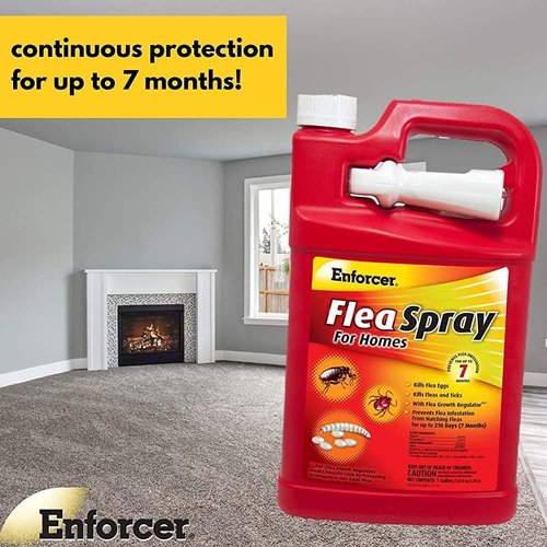 Enforcer Flea Spray for Homes - Prevents Infestation for Up to 7 Months | 1 Gallon (Case of 4)