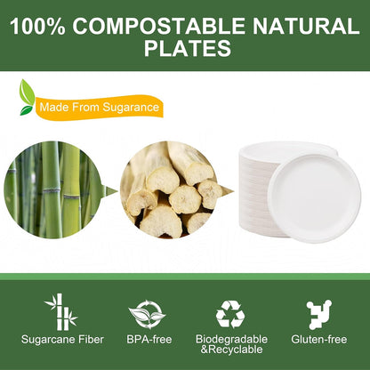 WELLIFE 10-Inch Compostable Paper Plates - 125-Pack Heavy-Duty, Eco-Friendly & Microwaveable | BPI Certified