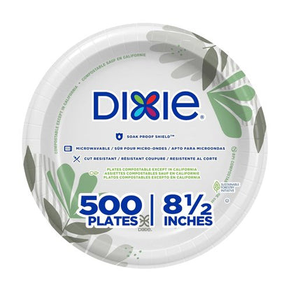 Dixie 8.5 Inch Medium-Weight Paper Plates - Pathways Design, 500 Count | Durable & Disposable
