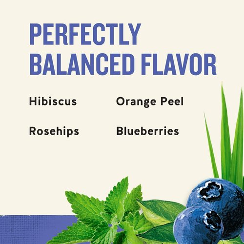 Celestial Seasonings Herb Tea True Blueberry 20 Bag (Pack of 2)