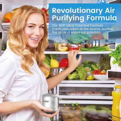 Fridge Deodorizer - 10-Year Lasting Odor Eliminator | Chemical-Free Freshness for Kitchen, Closet, Car & Pets - Silver