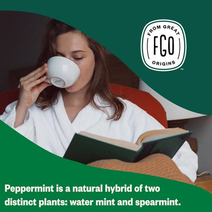 FGO Organic Peppermint Tea, 100 Count, Eco-Conscious Tea Bags, Caffeine Free, Packaging May Vary (Pack of 1)