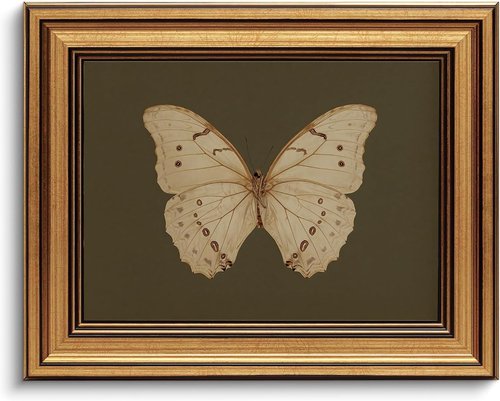 Gold Framed Vintage Butterfly Canvas Wall Art - Moody Insect Artwork for Living Room & Office | 8x10